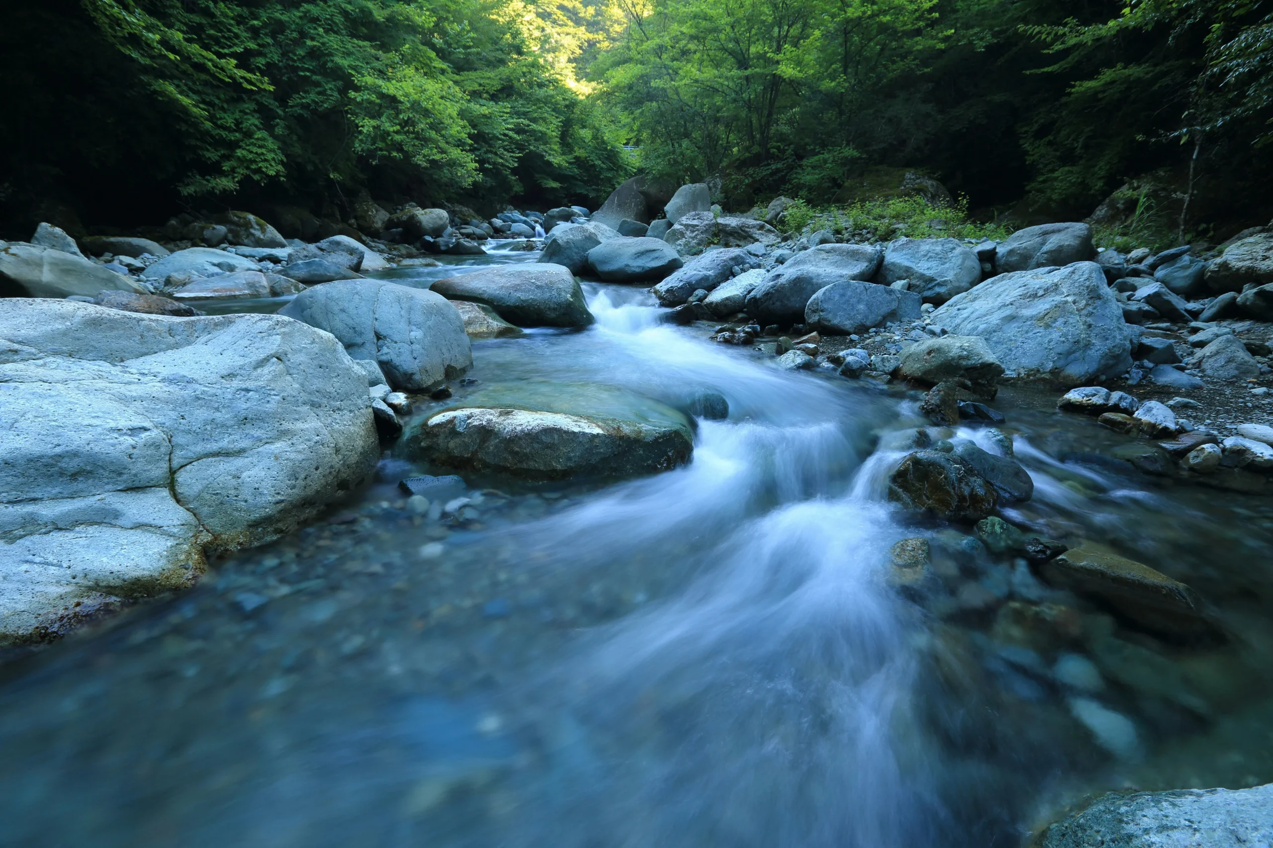 Water flowing in a creek
